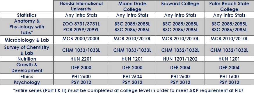 Nursing School Requirements Fiu CollegeLearners