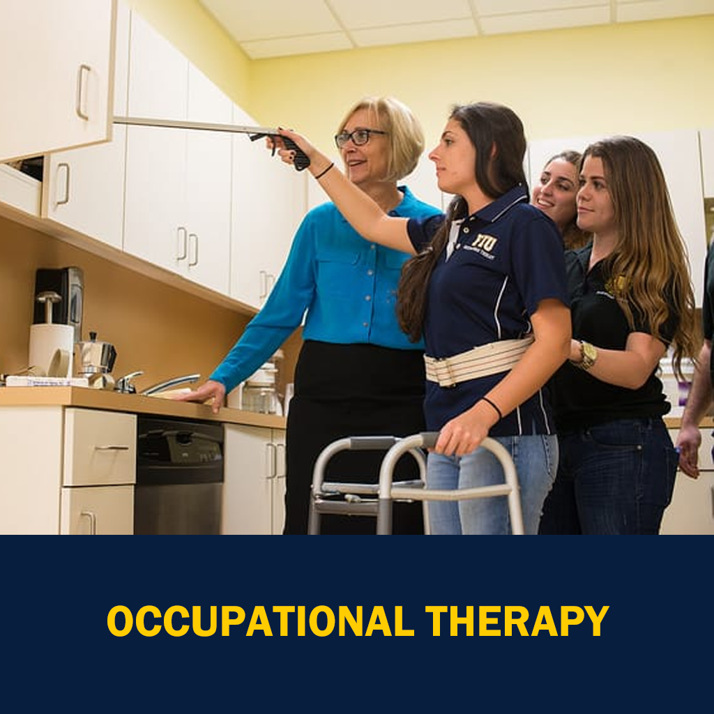 Occupational Therapy