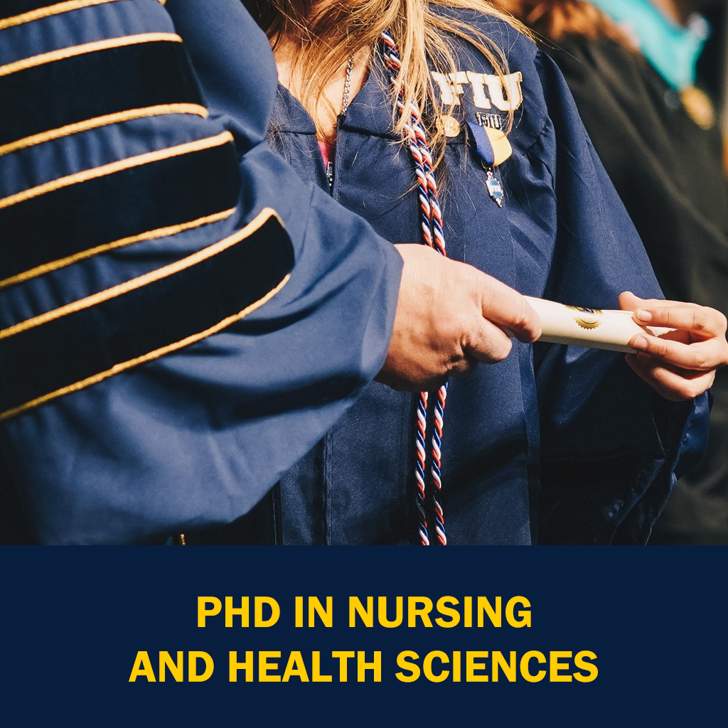 PhD in Nursing and Health Sciences