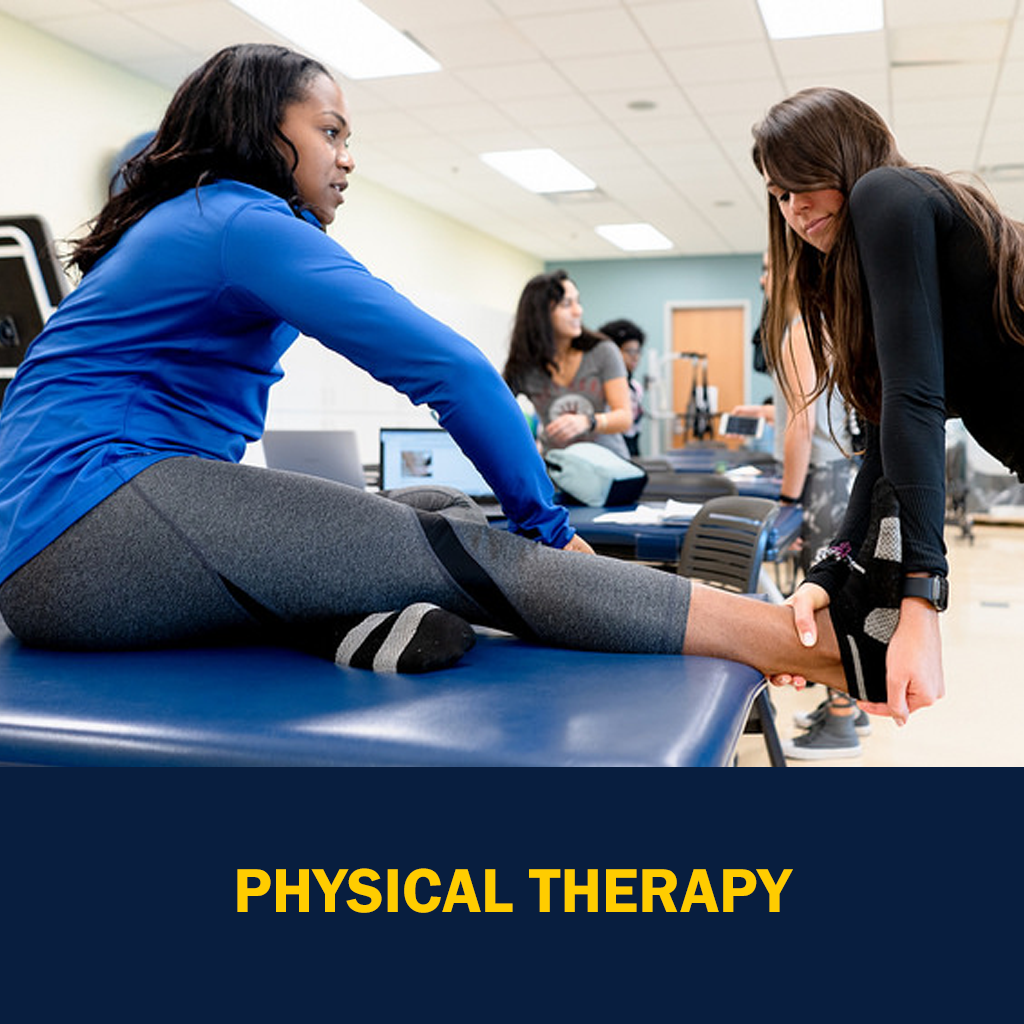Physical Therapy